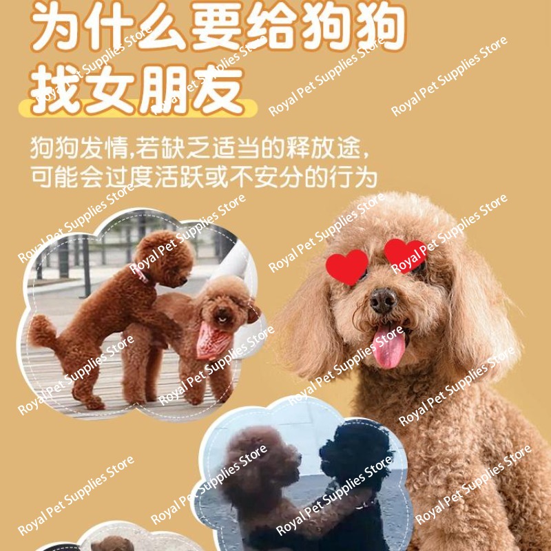 Silikonowe zabawki chłodzące d – Dog Toys recenzja i cena