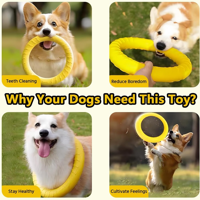 Zabawki dla psów, latające dys – Indestructible Dog Chew Toy recenzja i cena