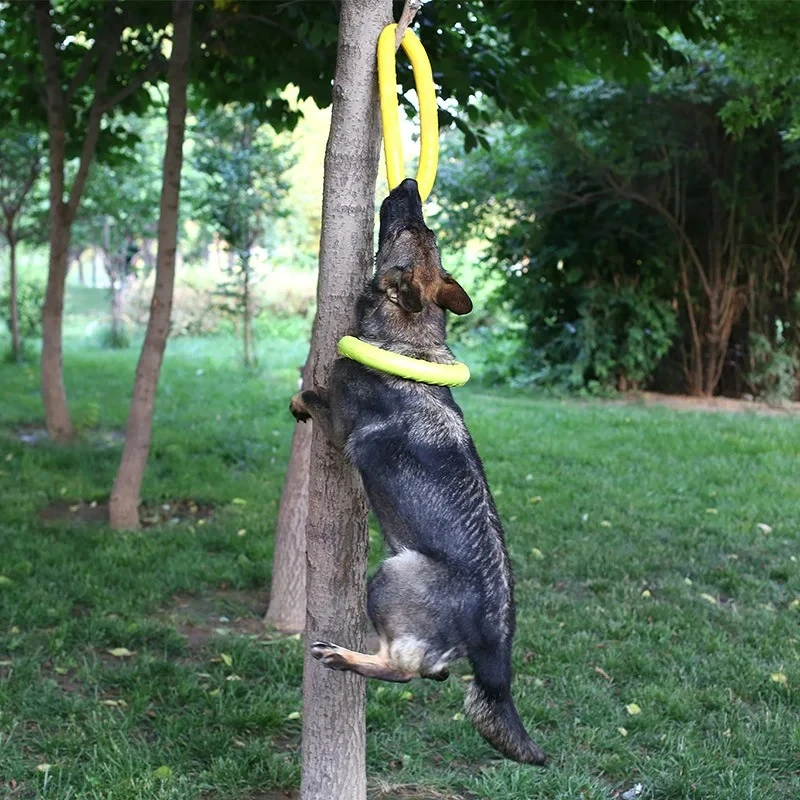 Zabawki dla psów latające dysk – Indestructible Dog Chew Toy recenzja i cena